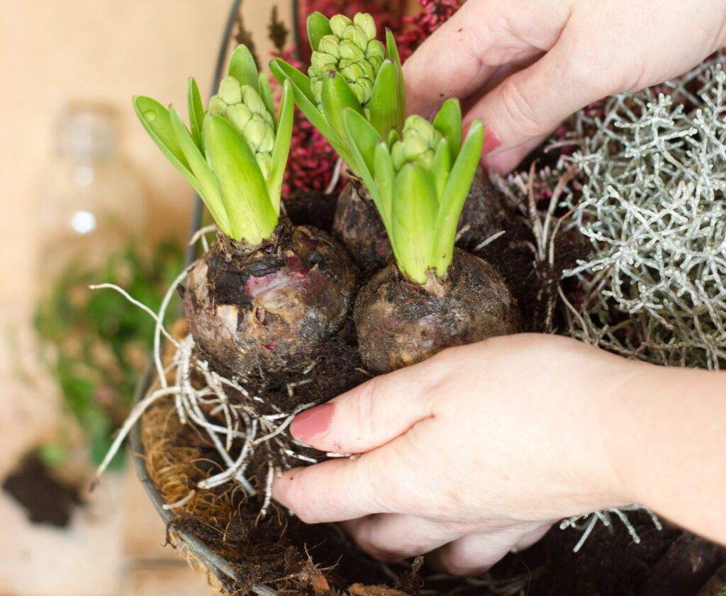 Giardinaggio e consapevolezza