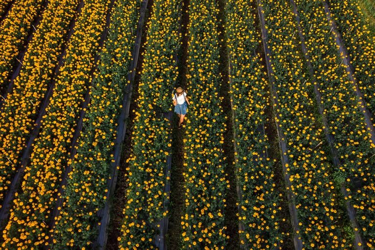 convinzioni limitanti sul denaro