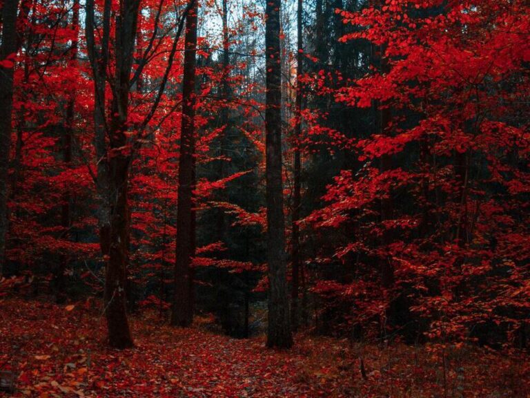 esercizi evergreen per affrontare i tempi incerti